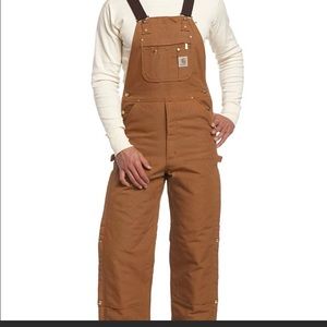 Carhartt Insulated Vintage Overalls